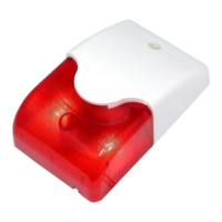 img12605large-1.png