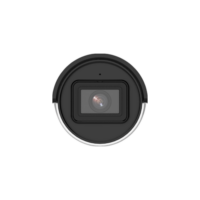 img12965large-1.png