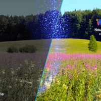 img19891large-1.png