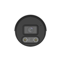 img21856large-1.png