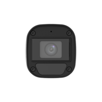 img22244large-1.png